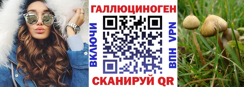 что такое   МЕГА зеркало  Псилоцибиновые грибы MAGIC MUSHROOMS  Старая Русса 